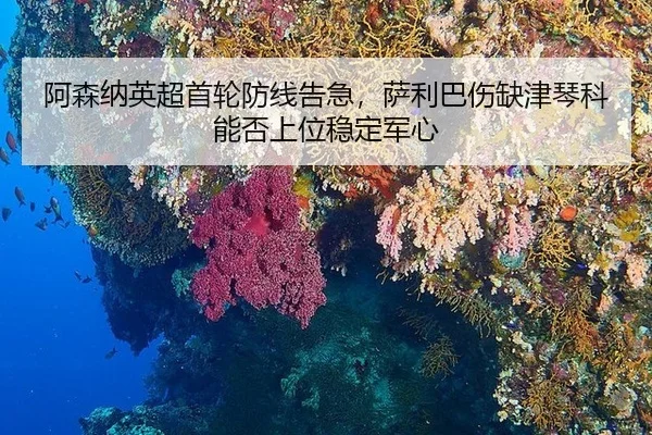 a-sen-na-ying-chao-shou-lun-fang-xian-gao-ji-sa-li-ba-shang-que-jin-qin-ke-neng-fou-shang-wei-wen-ding-jun-xin-2-566.jpg